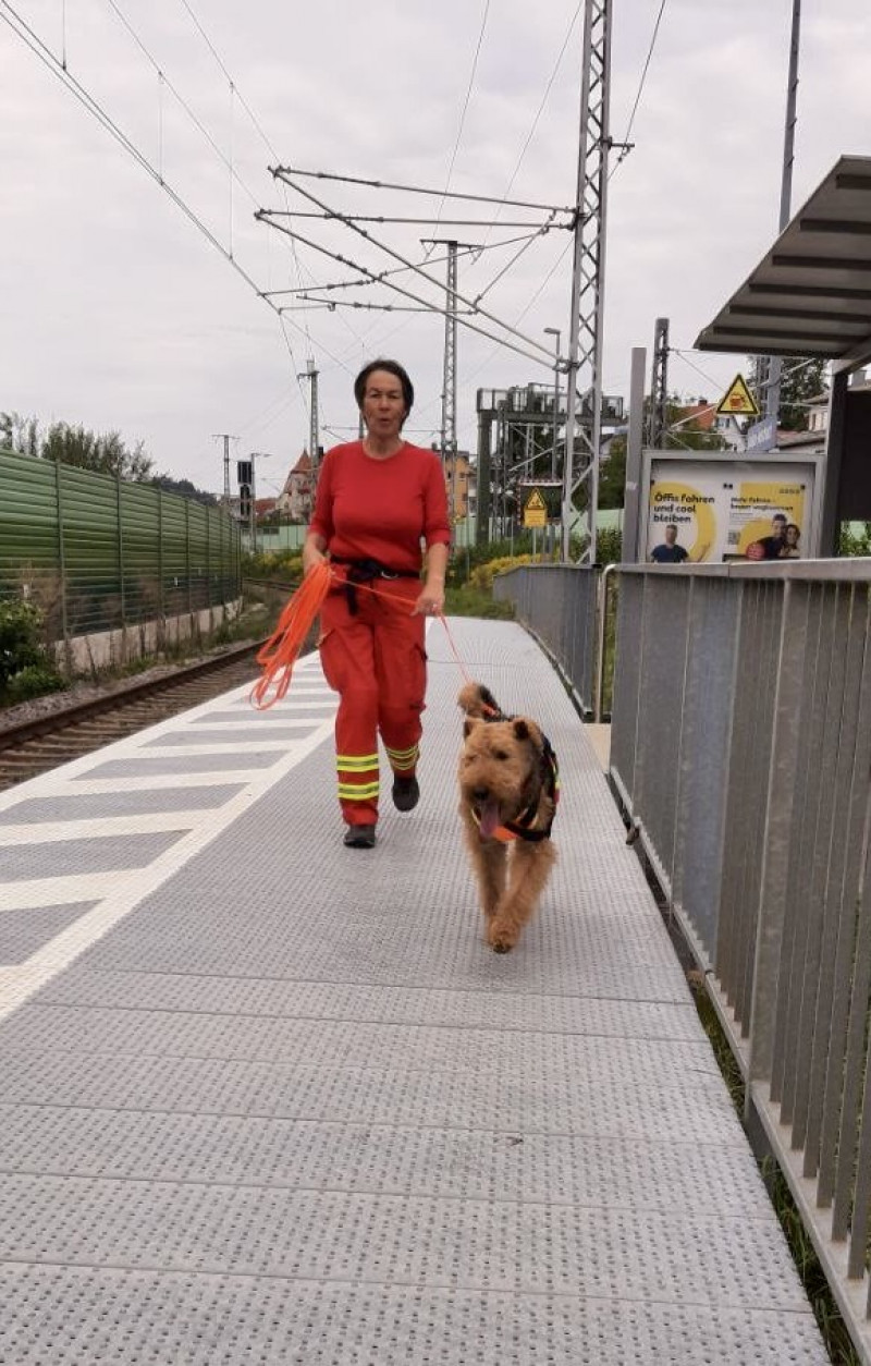 Symbolbild: Hundeführerin der DLRG Füssen mit ihrem Personensuchhund an einem Bahnhof