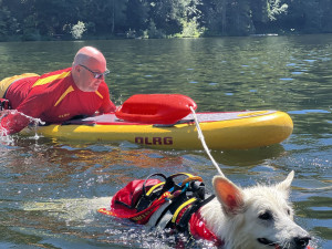 Andreas Safranek, der stellvertretende Vorsitzende der DLRG Füssen lässt sich von der erfahrenen Hündin Enya auf einem Rettungsbrett ziehen. Die Hündin ist in der Lage kleine Boote bis 300 kg im Wasser zu ziehen.