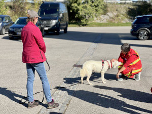 Uschi, die Ausbilderin lockt einen Hund zu sich.