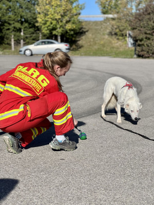 Franzi, die Ausbilderin lockt einen Hund zu sich.