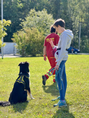 Iven, einer der Helfer versteckt sich für einen Hund.