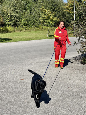 Bianca, die Ausbilderin testet Ober der Hund sein Frauchen sucht.