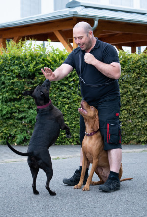 Dominik Schneider mit seinen beiden Hunden. Links die Hündin Isy Blue und rechts Jerry von der Hohen Mark.